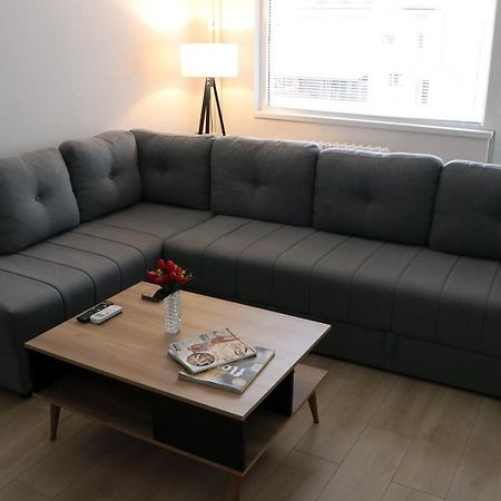 Spacious Modern Apartment Kisela Voda Szkopje Kültér fotó